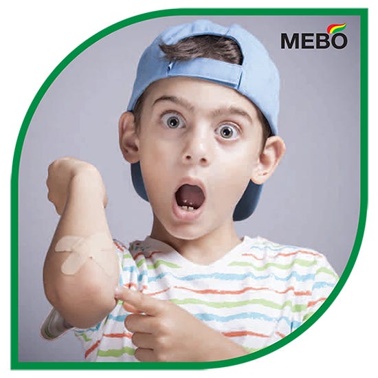 Mebo 0.25% Ointment 75 gm